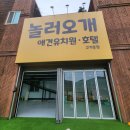 놀러오개 애견유치원 애견호텔 이미지