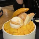 [블챌] #18 설빙 기흥구청점 (킹망고설빙 후기)
