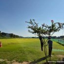황룡 파크골프장 B 이미지