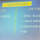올포유성남