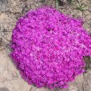 가현산낚시터 이미지