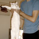 치유요가 이미지