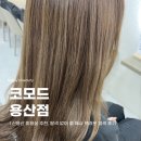추천, 코모드 용산점에서 탈색 없이 쿨 애쉬 브라운 염색한 후기 (+ 퍼스널 디자인 전문 성욱대표 원장님)