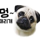 재미나개 이미지