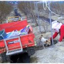 호랑이농장 이미지