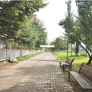 백설마을 이미지