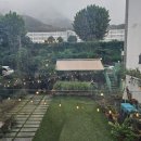 돌끝맘 !!!! 돌잔치 후기(앞산주택 본관 야외돌상, 데이윤, 솔스냅, 더베럴, 메이크업수)