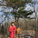 원주굽이길 원1코스 100고개길 Daum카페