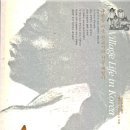 주리시대 이미지