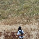 윤조목장 네이버블로그