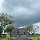 샬롬갈비 이미지