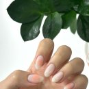 수원-0492 이미지