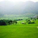 비고리조트 18 이미지