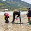 다대어촌체험마을 이미지