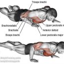 수원M복싱 이미지