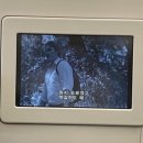 멍이올래 | 혜존(惠存)