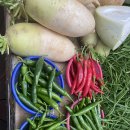 초량시장 이미지