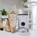 고양이 자동급식기 뭐 보고 사야 해? 코코시루 카메라형 후기