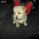 노암세차장 Daum카페