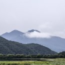 경안천습지생태공원 이미지