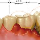 강화 탑치과의원 이미지