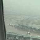 5201 | 인천-앙카라 튀르키예 에어프레미아 직항 YP5201 YP5202 탑승기 체크인 &amp; 기내식 총정리