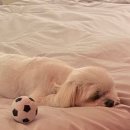 유성중앙유치원 이미지