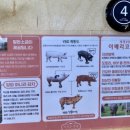 교촌치킨 연남점 이미지