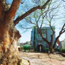 한강대교 북단 주민쉼터 앞 이미지