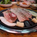 고향참숯구이 Daum카페