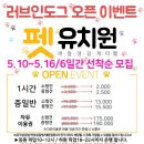 러브 애견 이미지