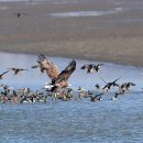 연동초등학교 이미지