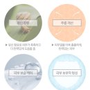 진선미피부 이미지