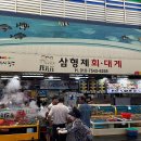 죽도해삼