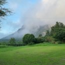 설아농장 이미지