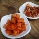참사랑코다리 이미지