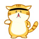 월드화랑태권도장 이미지