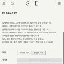 벨라리본(BELLA RIBBON) 네이버블로그