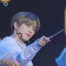 니피 이미지
