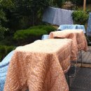 비내섬의 아침 이미지