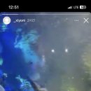 홍주수족관 이미지