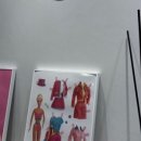 바바성형외과의원 이미지