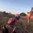 돼지학교 이미지