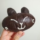 데이앤데이 이미지