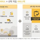 다담디자인 이미지