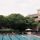 하얏트호텔 이미지