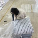 보성이불 이미지