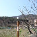세동1통경로당 이미지
