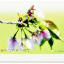 반여1동-3 이미지