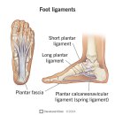 에이블짐 돈암점 이미지